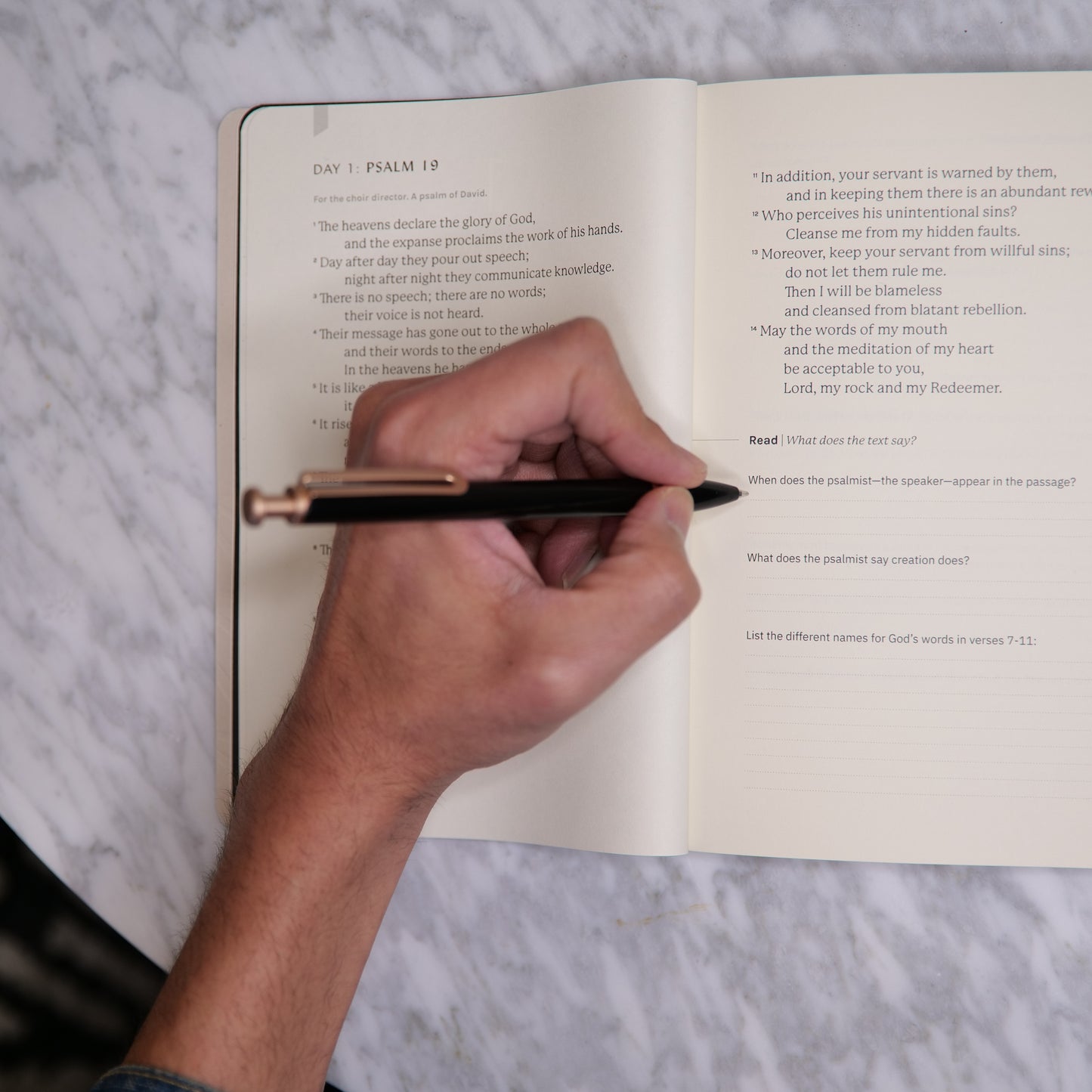 An Introduction to REAP Journal