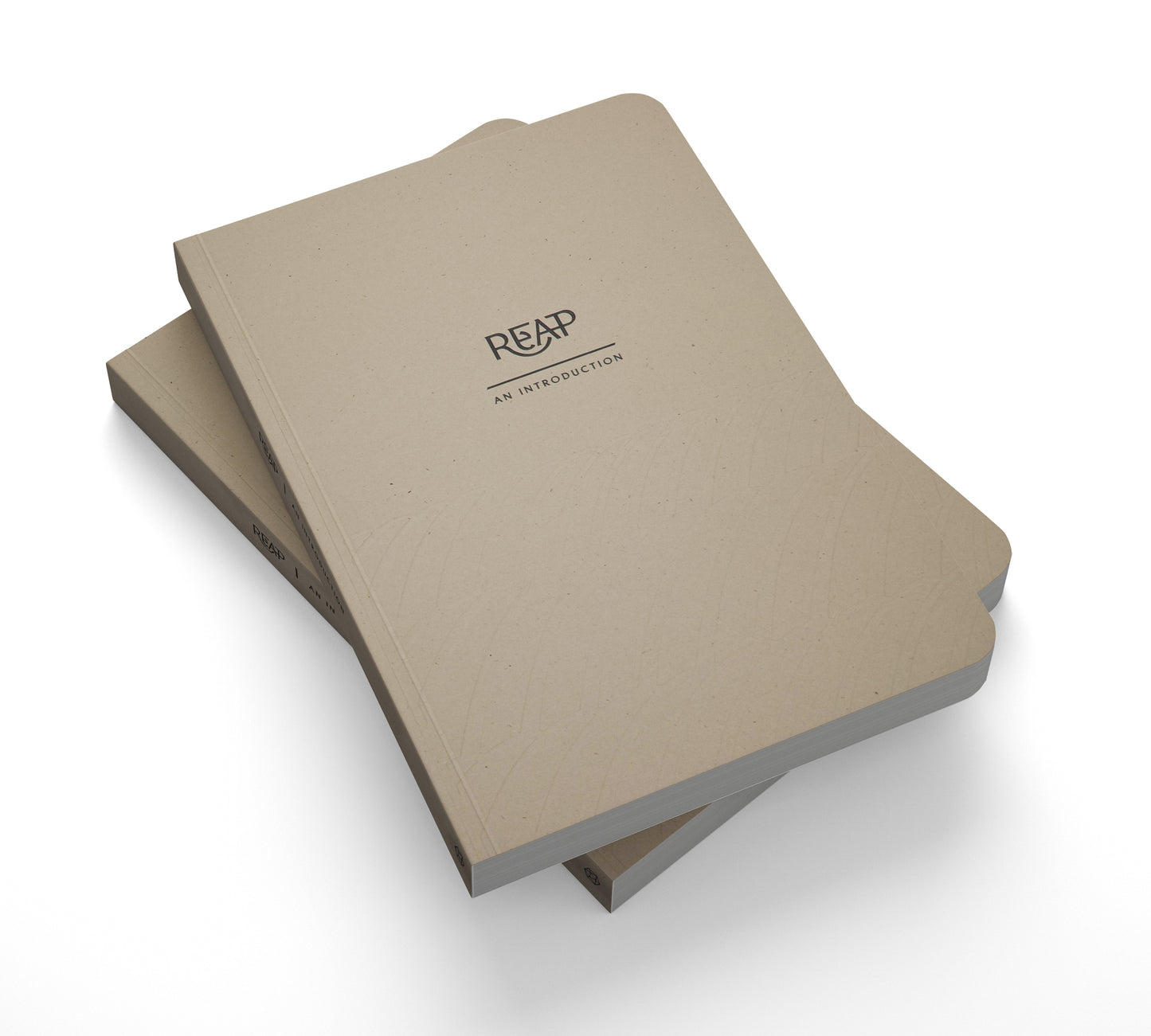 An Introduction to REAP Journal