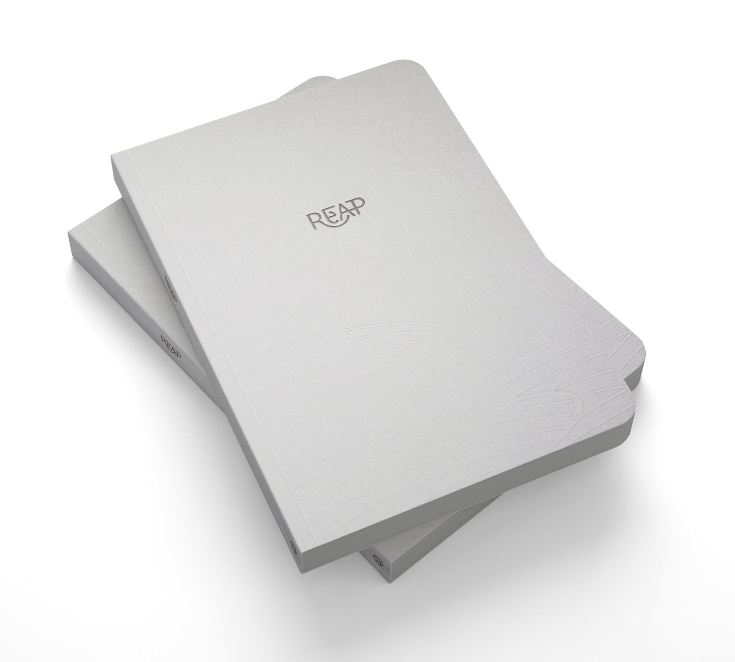 Blank REAP Journal (Cool Gray)