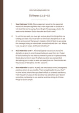 Load image into Gallery viewer, Hebrews 12–13: A Guided Study &amp; Discussion Guide