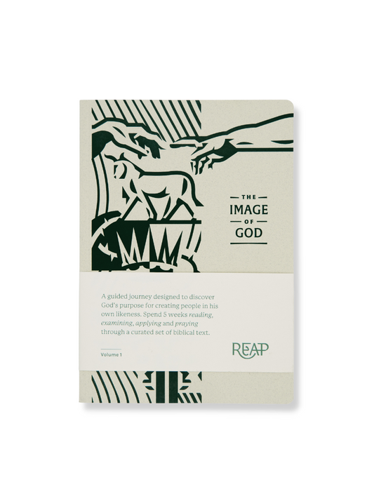 Image of God REAP Journal [PICKUP ONLY]